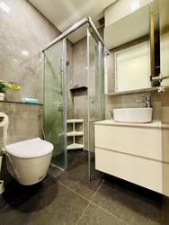 Balmoral Heights (D10), Apartment #556608991
